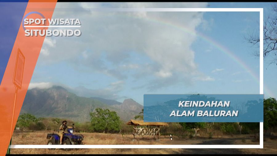 Savana Baluran Situbondo Kala Musim Kemarau