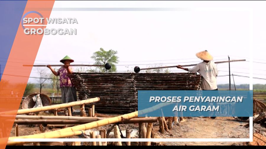 Glagah, Batang Bambu Penyaringan Air Garam Desa Kuwu Grobogan 