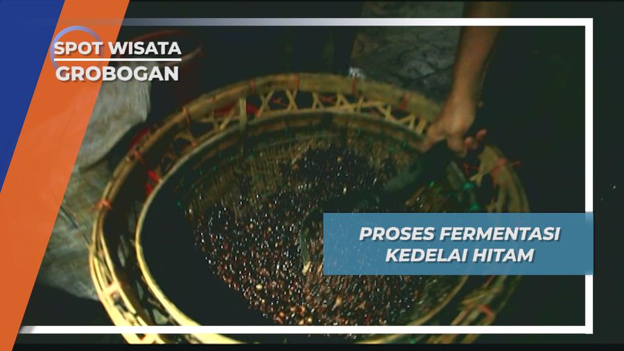 Fermentasi Kedelai Hitam, Pabrik Kecap Cap Udang Purwodadi Grobogan