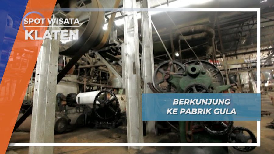 Pabrik Gula Klaten, Tempat Pengolahan Tebu dengan Skala Besar