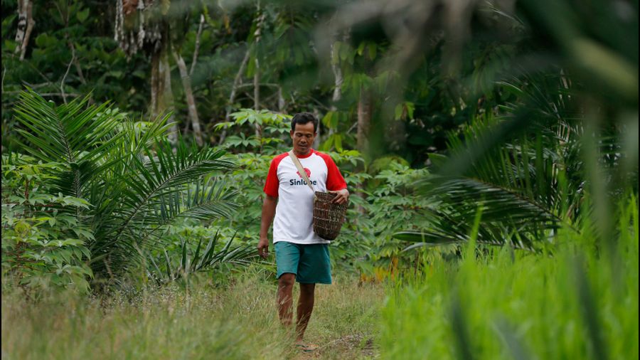 Kisah Petani di Perbatasan Aruk yang Kini Merdeka