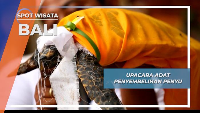 Penyembelihan Penyu, Hewan Kurban Pada Upacara Adat Bali