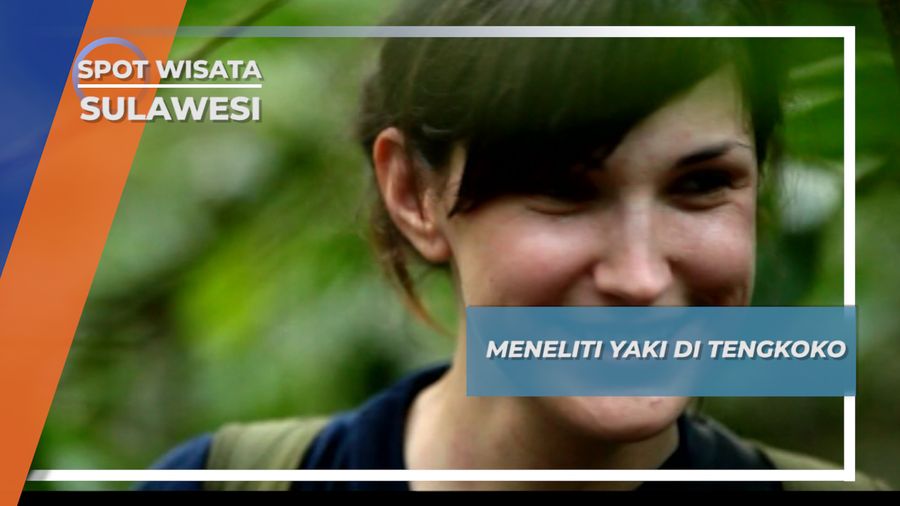 Sengitnya Perebutan Tahta Kelompok Yaki di Rimba Raya Tangkoko Sulawesi
