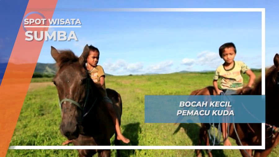Bocah kecil Pemacu Kuda Sumba