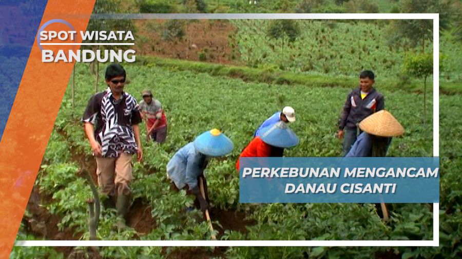 Hamparan Kebun Sayur, Ancaman Kelestarian Situ Cisanti Bandung