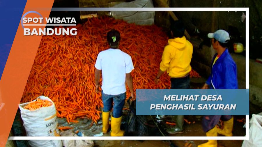Sentra Penghasil Sayur Desa Tarumajaya Bandung