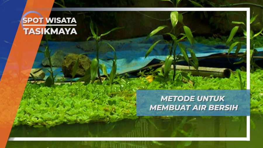 Metode Air Bersih Menggunakan Eceng Gondok, Tasikmalaya