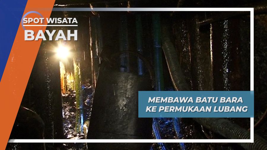 Membawa Batu Bara ke Permukaan Tambang Lubang Bayah Lebak Banten
