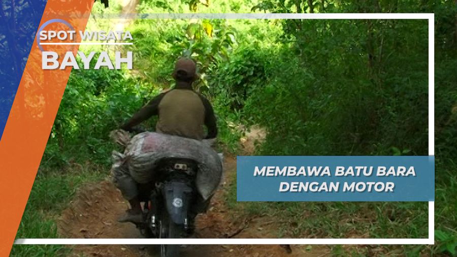 Bermotor Membawa Tiga Karung Batu Bara Dalam Liku Hutan Bayah Lebak Banten