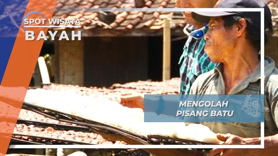 Mengolah Pisang Batu Bayah Lebak Banten
