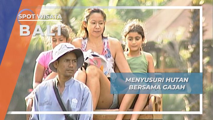 Menyusuri Keindahan Hutan Bersama Gajah, Gianyar, Bali