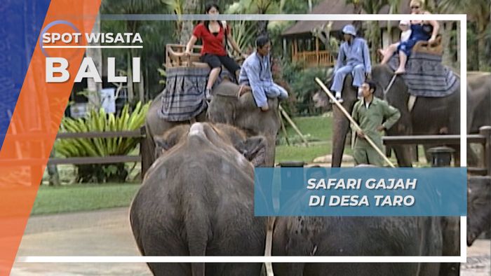 Safari Gajah di Kawasan Konservasi Desa Taro, Gianyar, Bali
