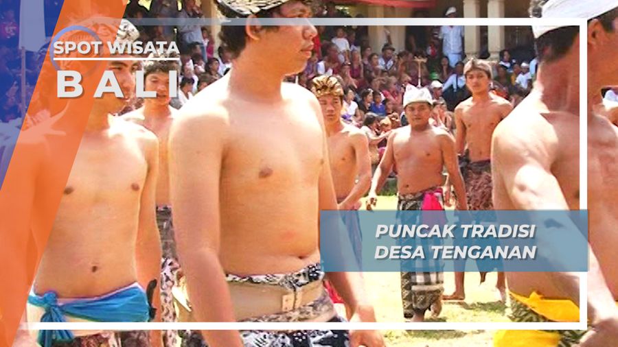 Teruna Teruni  Desa Tenganan Bali dalam Tradisi Usaba  