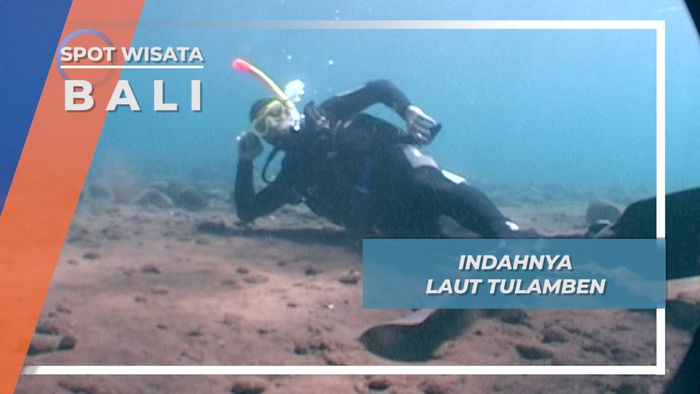 Surga Bawah Air Tulamben Bali, Rumah Para Biota Laut