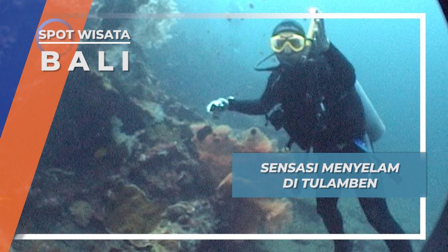 Indahnya Bangkai Kapal dan Keragaman Biota Laut di Tulamben, Bali