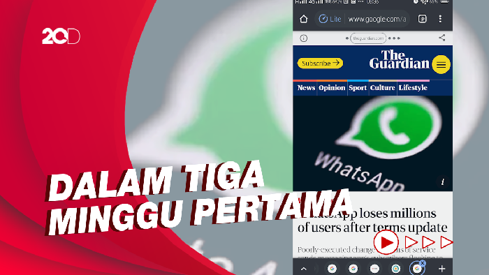 Jutaan Pengguna WhatsApp Beralih ke Signal dan Telegram