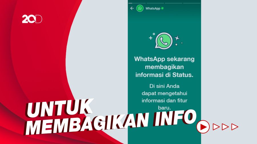 Ada WhatsApp Update di Status Para Pengguna