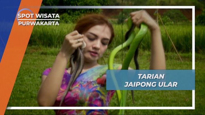 Tari Jaipong Ular Purwakarta