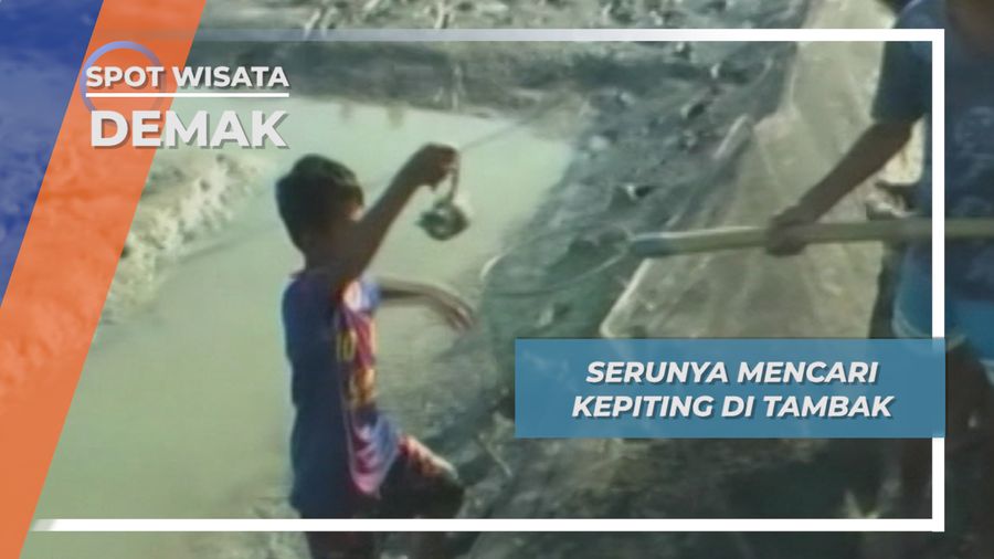 Mencari Kepiting Tambak Desa Surodadi Demak