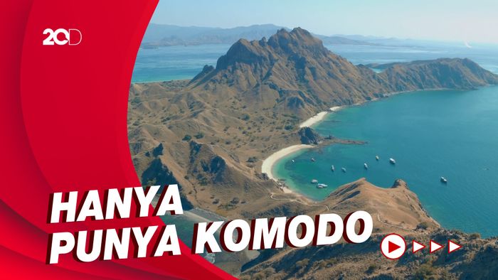 Ketika Anggota Komisi V DPR Sebut NTT Tak Istimewa