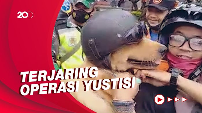 Viral Anjing Bermasker Patuhi Prokes di Tasikmalaya