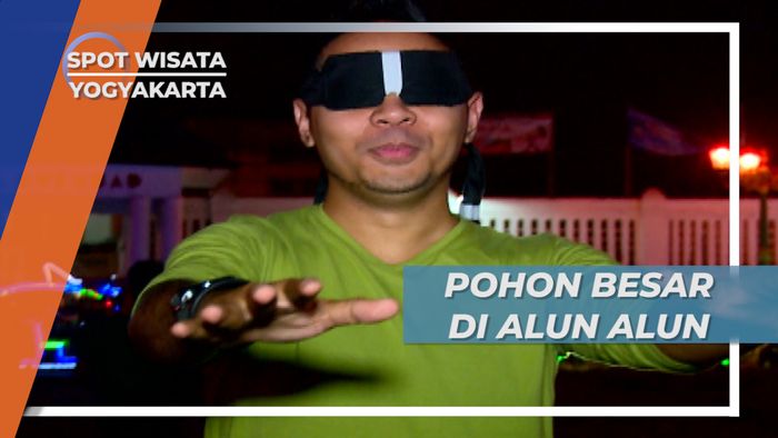 Pohon Besar di Alun-alun Yogyakarta