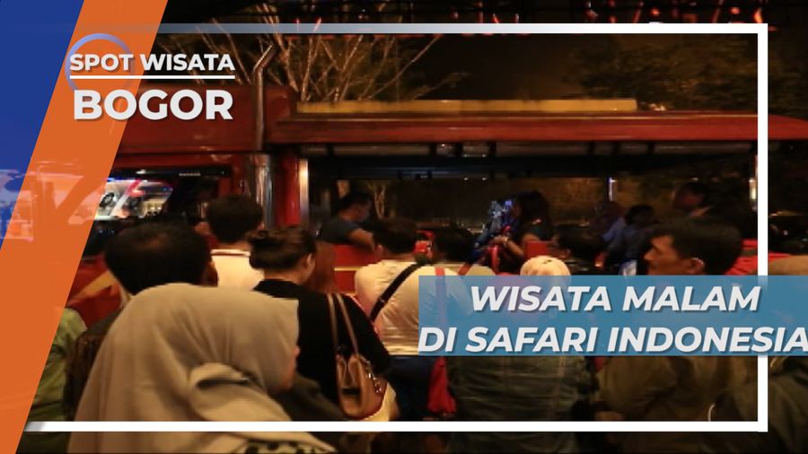 Safari Malam, Melihat Hewan Saat Malam Hari Di Cisarua Bogor