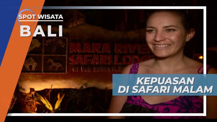 Malam Hari Bertemu Hewan Liar Tentu Pengalaman Tak Terlupakan di Bali