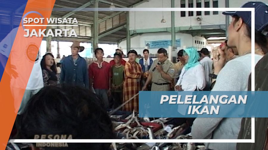 Pelabuhan Nelayan Muara Angke Pelelangan Ikan Jakarta