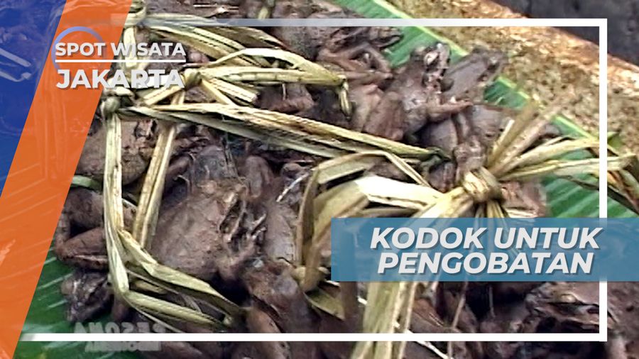 Tidak Hanya Kodok, Banyak Aneka Dagangan Pasar Petak Sembilan Jakarta
