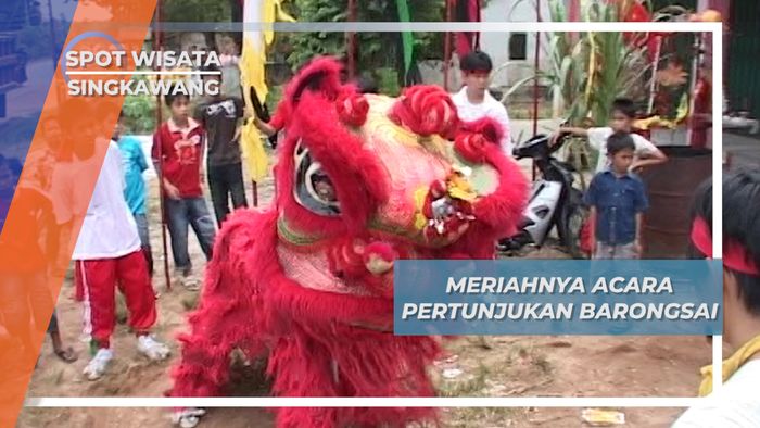 Barongsai Singkawang, Tunggangan Para Dewa Meriahkan Acara Imlek