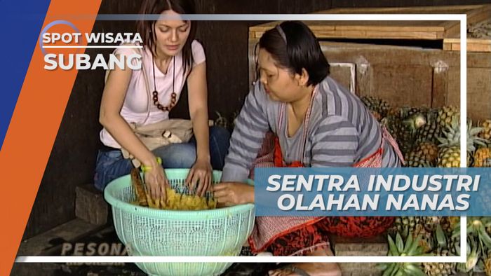 Sentra Industri Makanan Olahan Nanas Subang