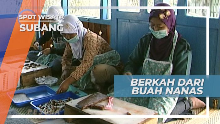 Berkah Si Buah Nanas Jalan Cagak Subang