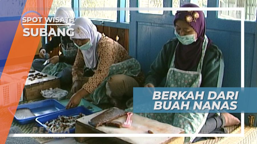 Berkah Si Buah Nanas Jalan Cagak Subang