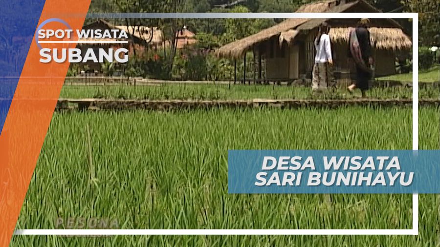 Desa Wisata Sari Bunihayu Jalan Cagak Subang
