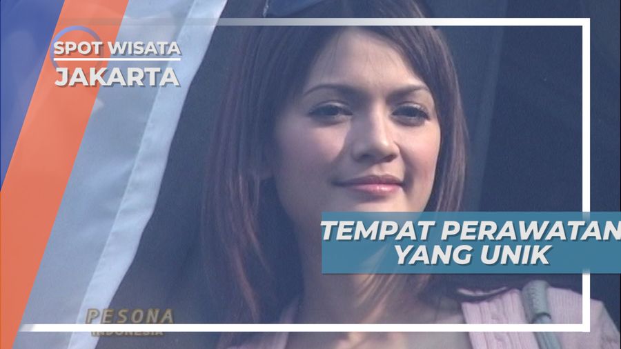 Tempat Perawatan Yang Unik Tidak Biasa Kemang Jakarta
