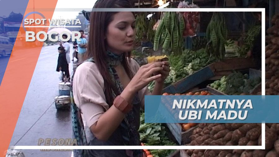 Nikmatnya Ubi Madu Cilembu Asli di Puncak Bogor Jawa Barat