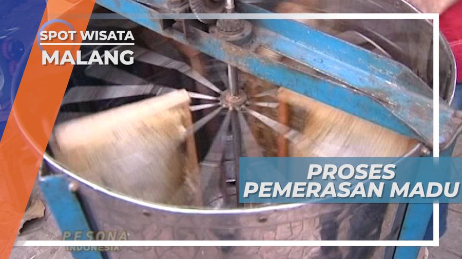 Tidak Diperas, Begini cara yang Benar Memisahkan Madu, Malang