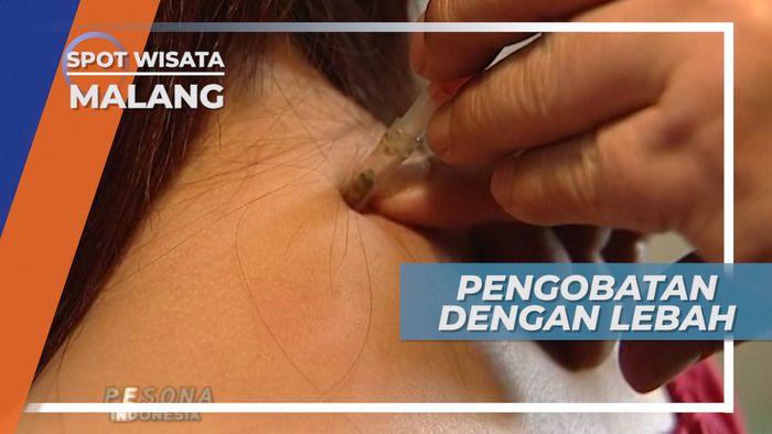  Tidak Semua Lebah, Hanya Jenis ini yang Bisa Dipakai Terapi, Malang