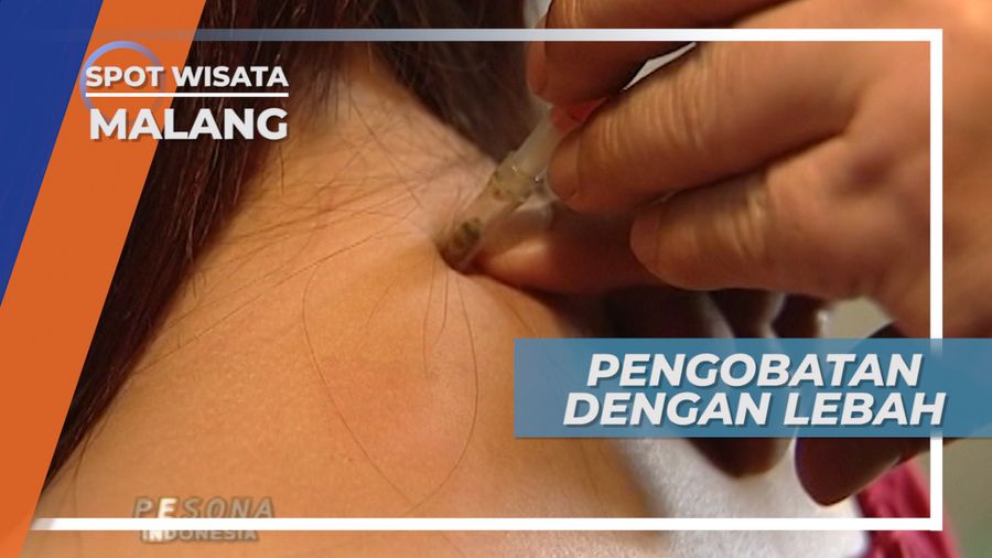  Tidak Semua Lebah, Hanya Jenis ini yang Bisa Dipakai Terapi, Malang