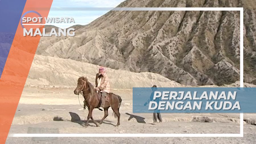 Berkuda Menuju Kawah Gunung Bromo, Jawa Timur