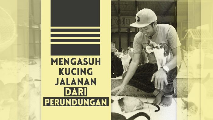 Bimbim CLOW Sosok Penolong Ratusan Kucing Jalanan Terlantar
