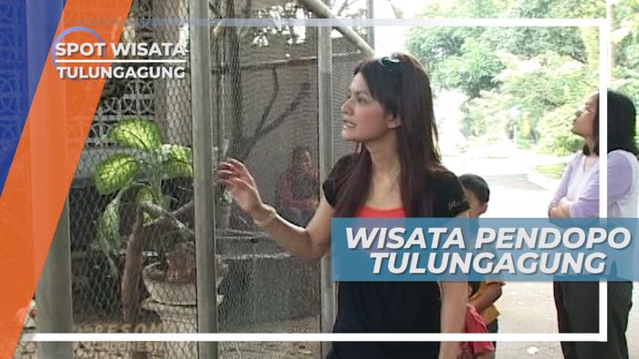 Pendopo Tulungagung, Megah Bangunan Beriring Aneka Satwa