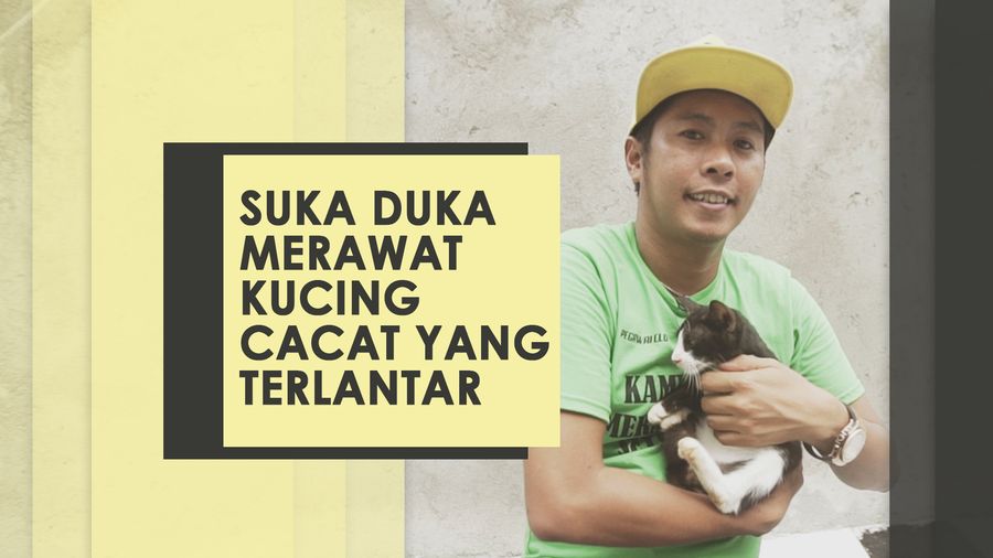 Tidak Suka Kucing Itu Boleh, Tapi Nggak Pake Nyiksa Juga Tidak Suka Kucing Itu Boleh, Tapi Nggak Pake Nyiksa Juga