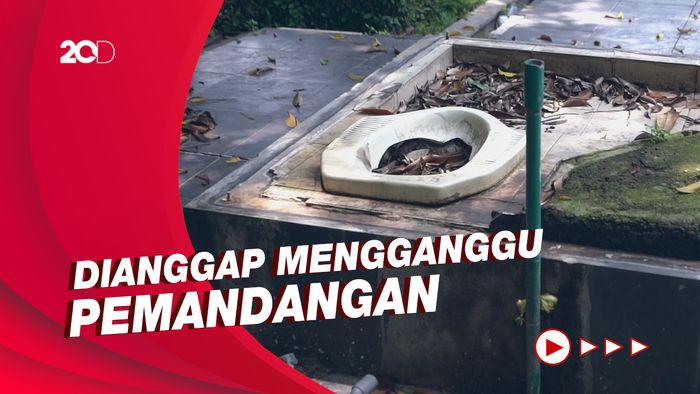 Viral Toilet Tanpa Dinding di Depan GOR Manahan Solo