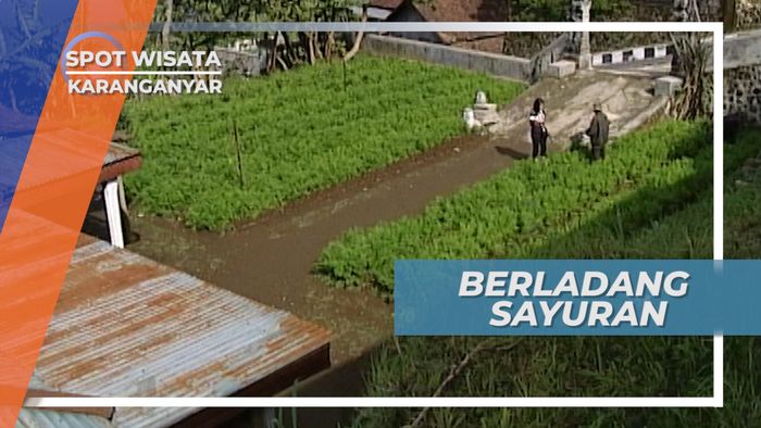 Lahan Kosong Dimanfaatkan Warga Karanganyar untuk Menambah Penghasilan, Jawa Tengah