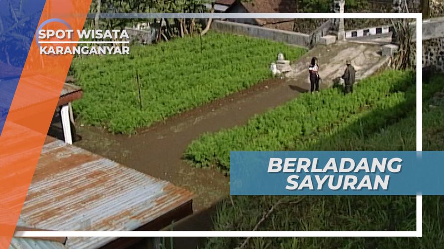 Lahan Kosong Dimanfaatkan Warga Karanganyar untuk Menambah Penghasilan, Jawa Tengah