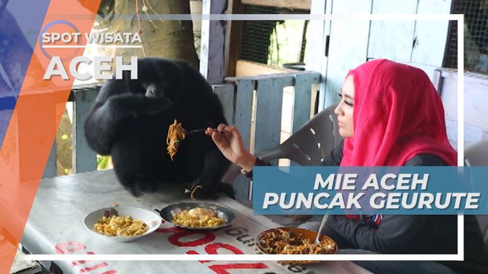 Mie Aceh Puncak Geurute, Kuliner Bersama Beberapa Ekor Siamang