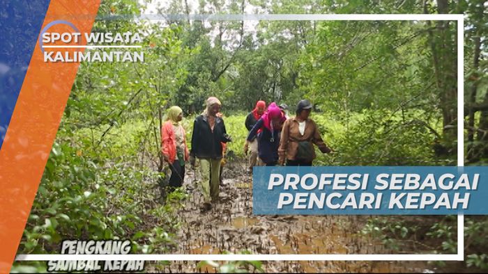 Sambil Bernyanyi Para Ibu-ibu ini Semangat Mencari Kepah, Kalimantan