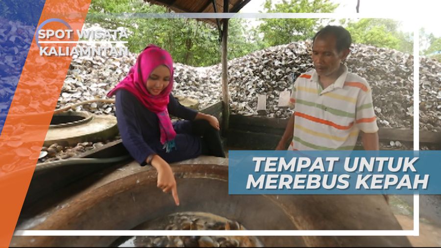 Butuh 25 Menit Untuk Merebus Kepah, Sebelum Diolah Menjadi Sambal, Kalimantan